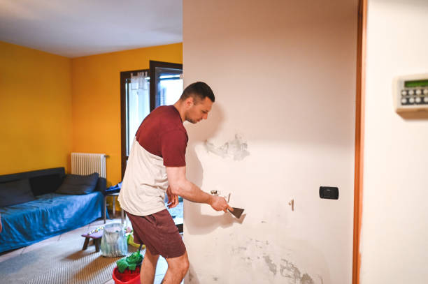 Professional Mold Remediation in Santa Venetia, CA